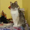 Отзыв от Клавдия Степанова